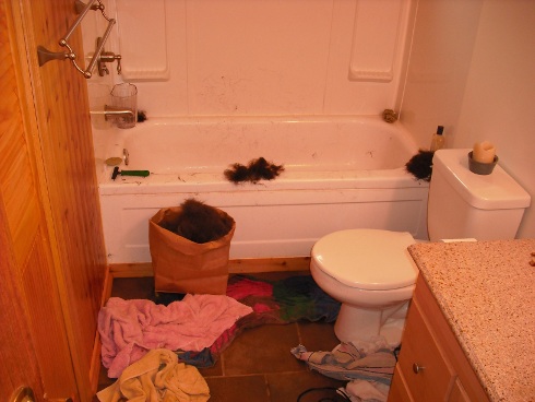 Post traumatic bath debris Post traumatic bath debris